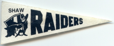 Raiders Pennant Pin